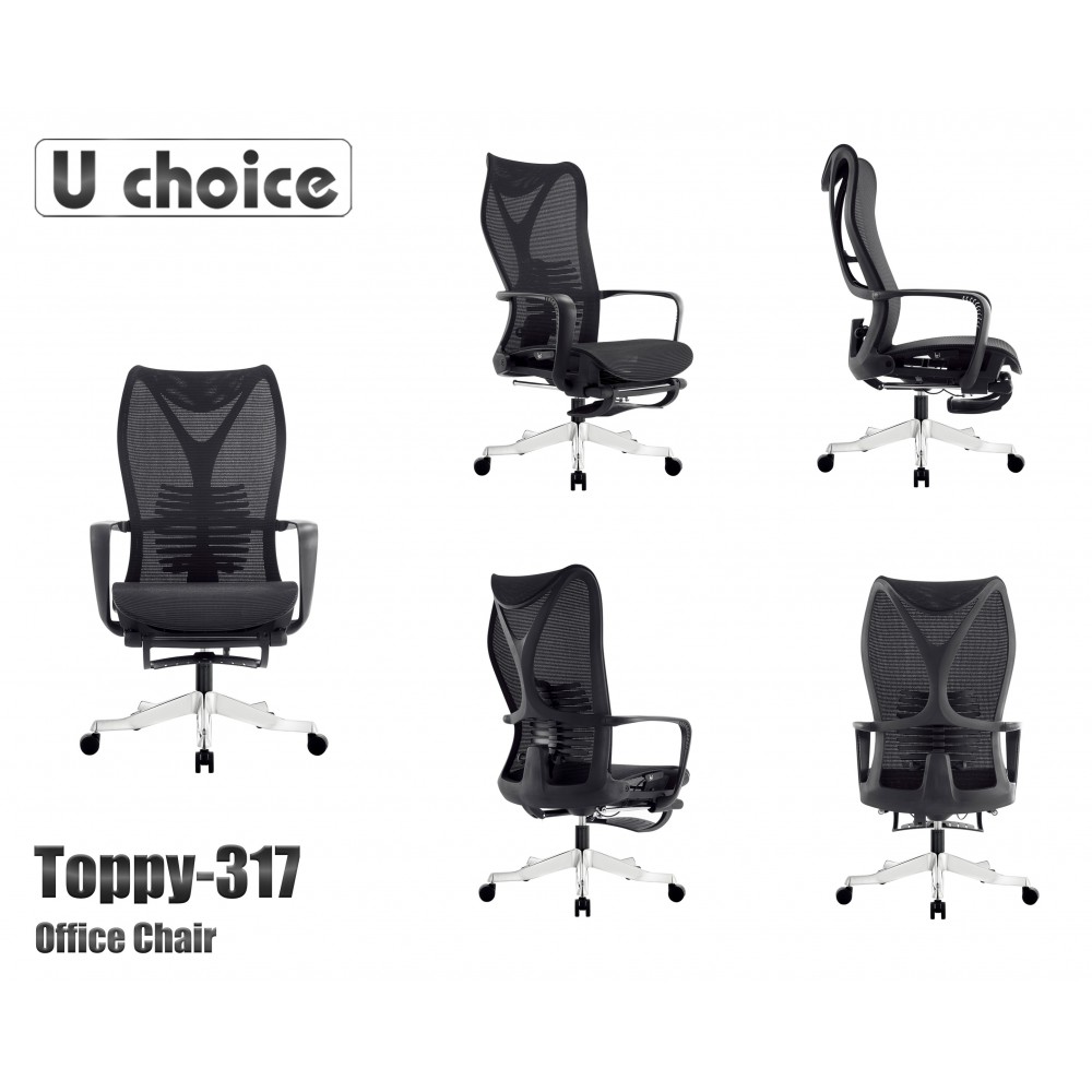 TOPPY-317