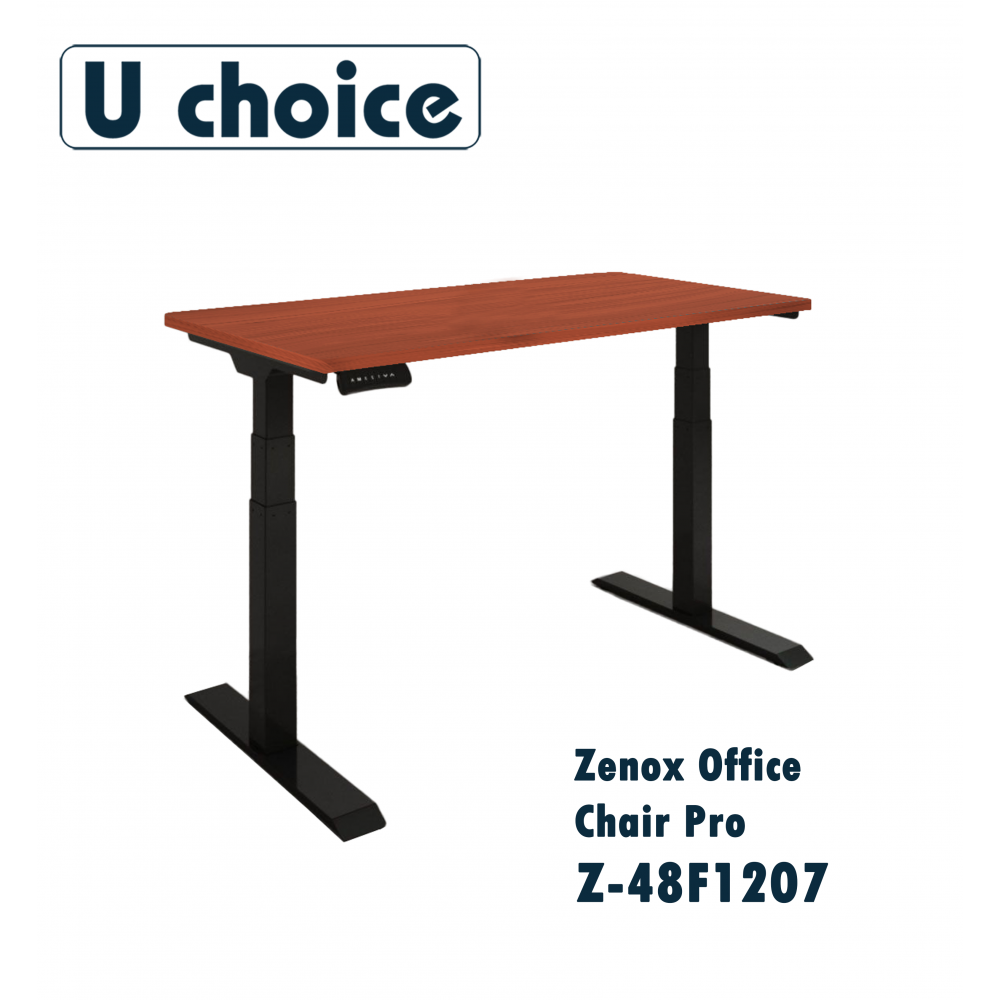 Zenox Office Desk Pro Z-48F1207