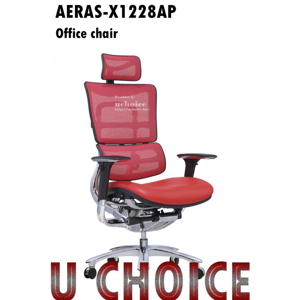 AERAS-X1228AP  電腦椅 辦公椅 人體工學椅 高背椅