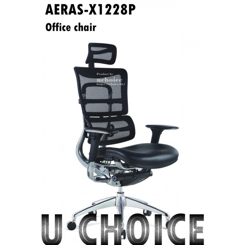 AERAS-X1228P  人體工學椅 電腦椅 辦公椅  高背椅