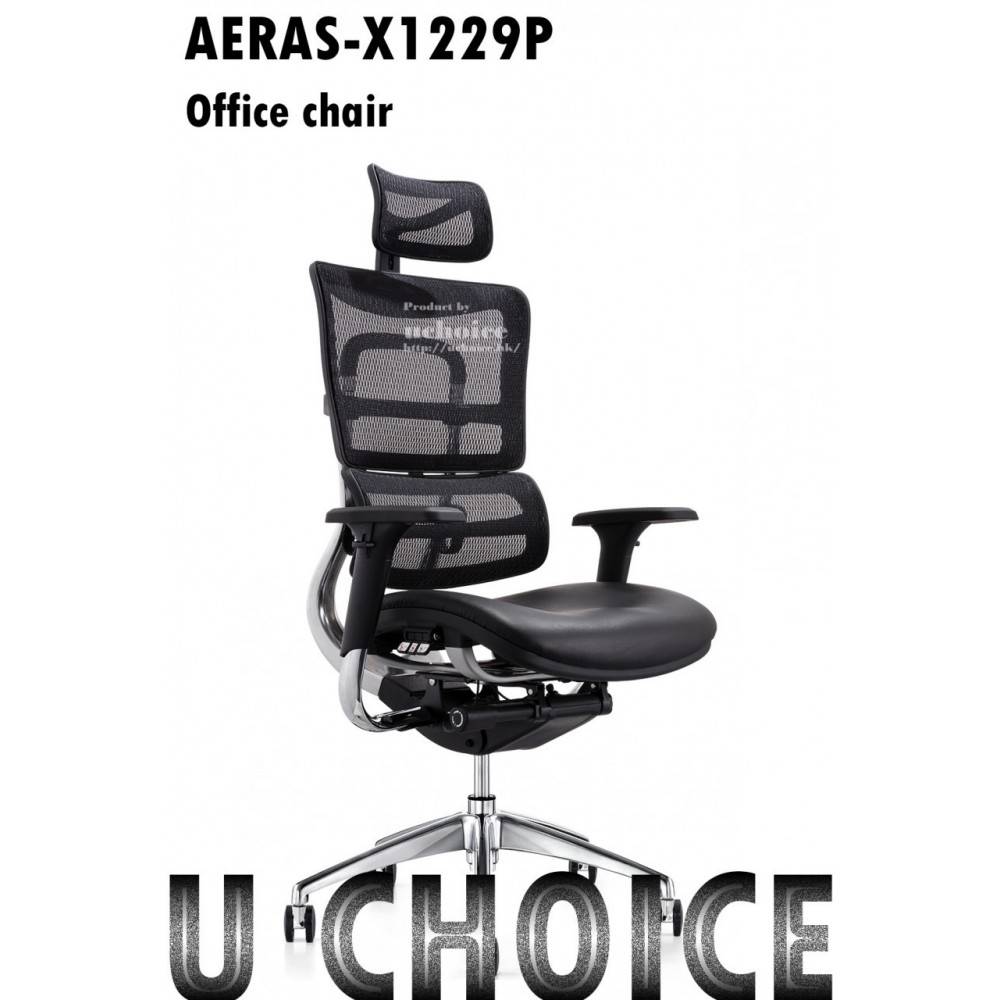 AERAS-X1229P 電腦椅 辦公椅 人體工學椅 轉椅