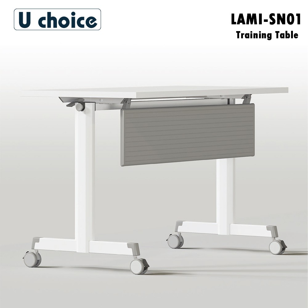 LAMI-SN01