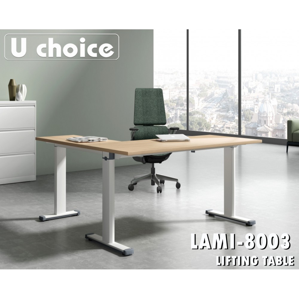 LAMI-8003