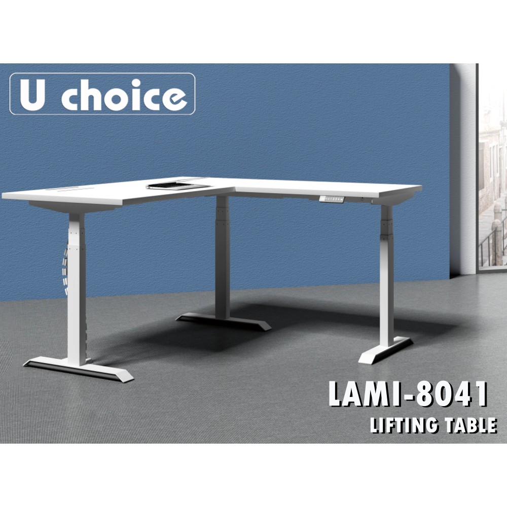 LAMI-8041