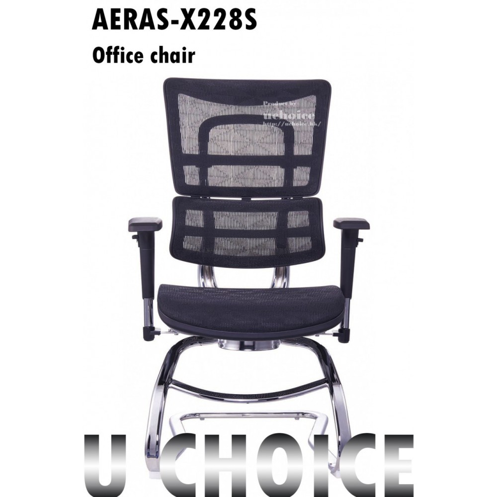 AERAS-X228S