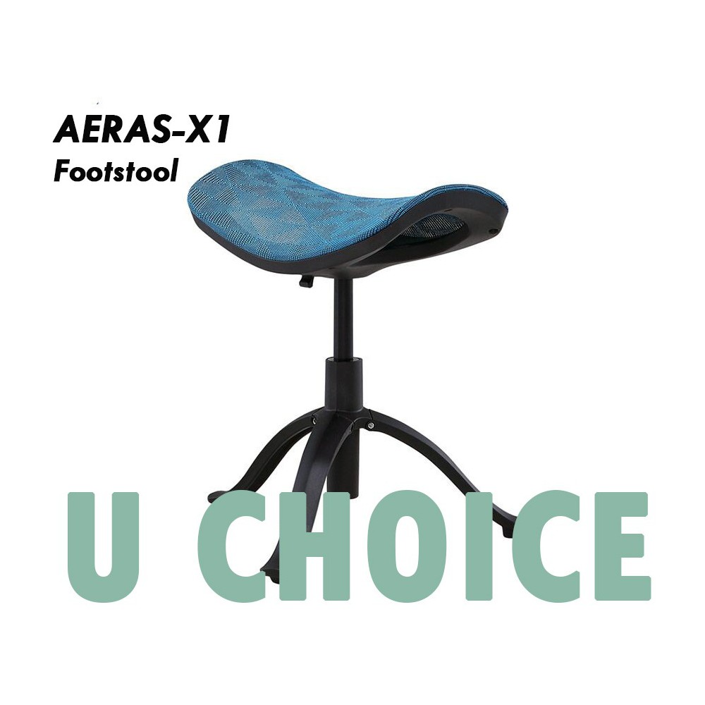 AERAS-X1 韓國進口物料可調較腳踏