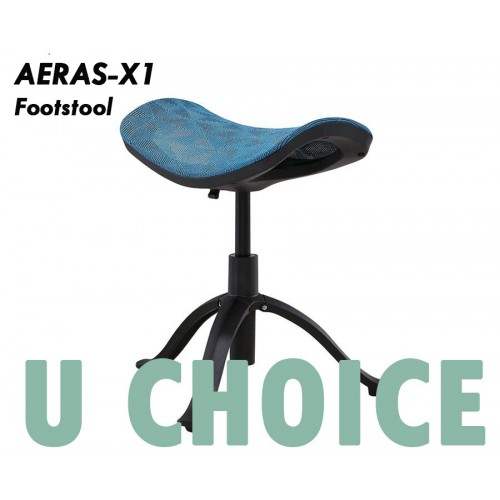 AERAS-X1 韓國進口物料可調較腳踏