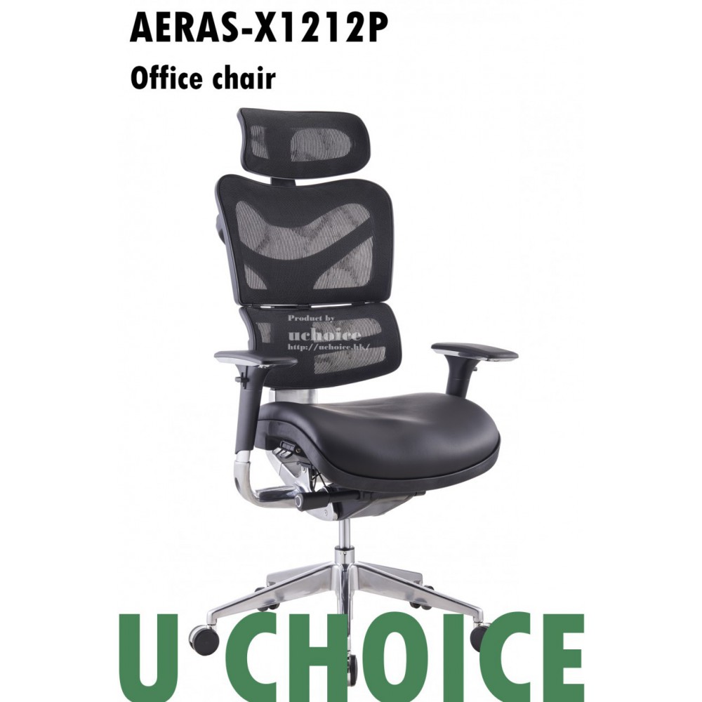 AERAS-X1212P  電腦椅 辦公椅 人體工學椅 高背椅